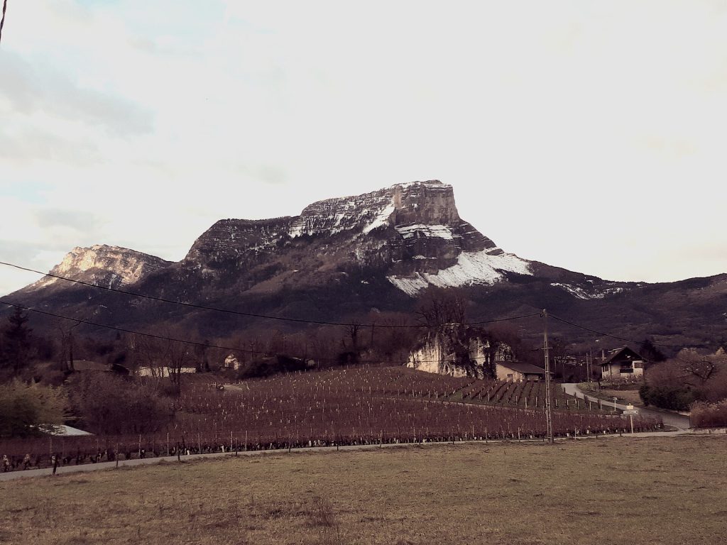 Mont Granier dusted with snow above bare, dormant vineyards at Myans under a pale winter sky