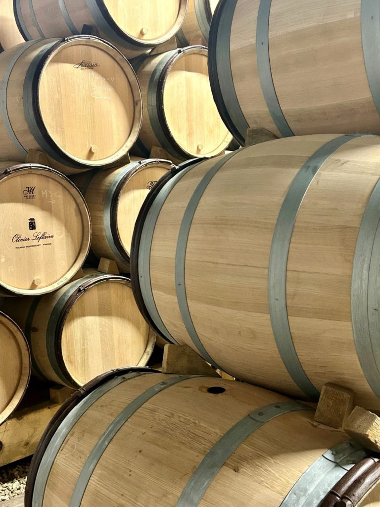 Oak barrels stacked in a cellar