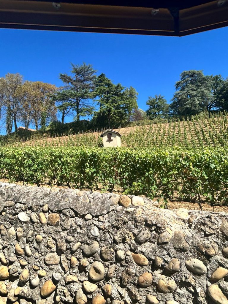 A wall of rounded river stones below a sunlit vineyard slope